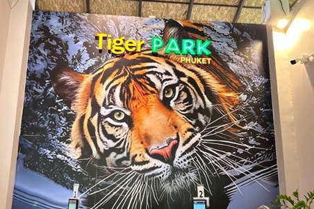 「タイのトラと触れ合える場所４選」徹底ガイド 【旅の大事典】